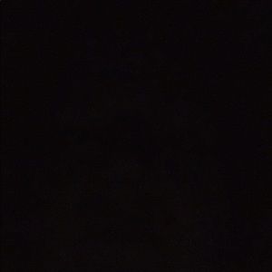 Meet your Posher, Deb